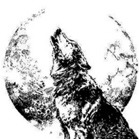 Философия Волка